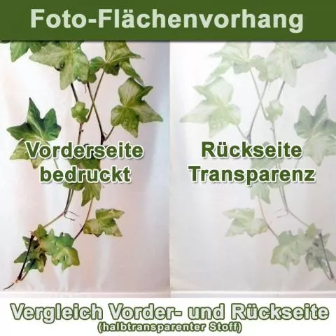 rollo-rollo.de Foto-Schiebevorhang komplett inkl. Fotodruck - Detailansicht 3 rollo-rollo.de Foto-Schiebevorhang komplett inkl. Fotodruck - Detailansicht 3