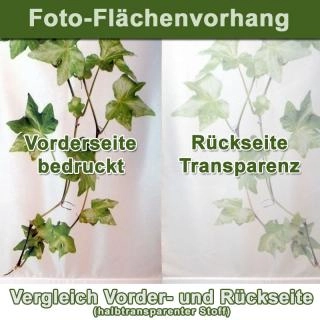 Abb. 3: Foto-Schiebevorhang komplett inkl. Fotodruck Artikelbild: 3: Foto-Schiebevorhang komplett inkl. Fotodruck