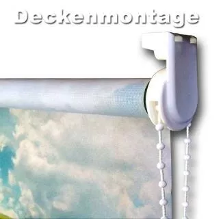 Artikelbild: 5: Fotorollo bedrucktes Rollo mit Wunschbild oder Logo als Foto-Aufdruck