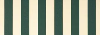 Creme / Vert Foret 8555 (Farbcode: 8555)