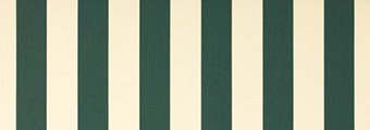 Creme / Vert Foret 8555 (Farbcode: 8555)