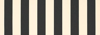 Creme / Noir 8919 (Farbcode: 8919)